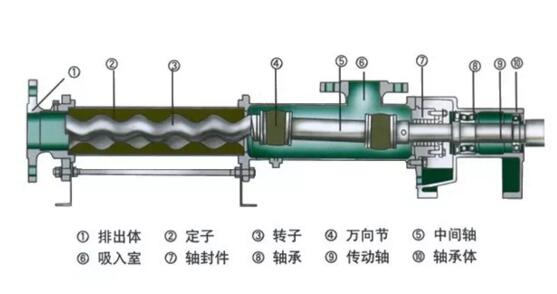 螺桿泵結構